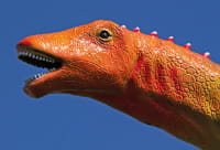 Wysoki dinozaur z długą głową, na zdjęciu szyja i głowa